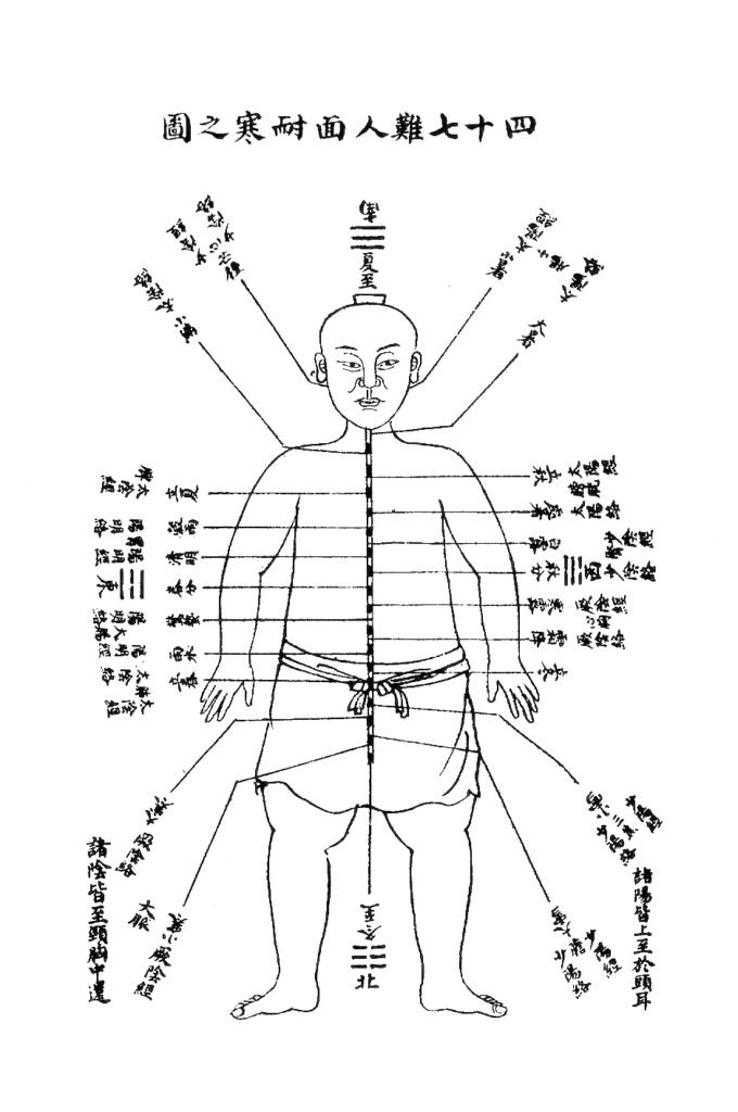 The Three Conceptual Turning Points in the History of Chinese Medicine (in affiliation with University of Technology, Sydney)