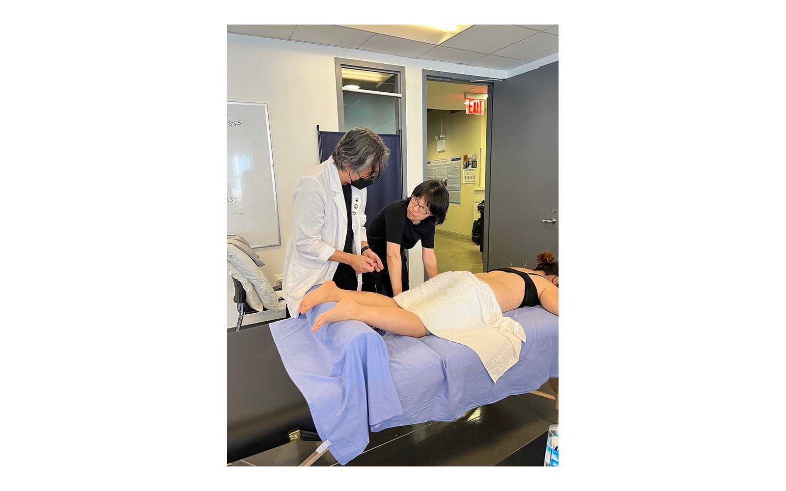 2025-06-28-051 Foundations in Kiiko Matsumoto Style Acupuncture- Australia - 2026